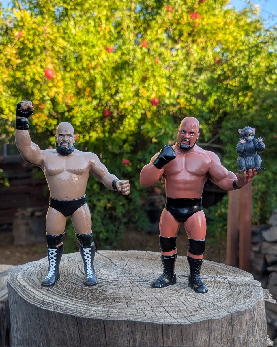 80s Wrestling Fan tweet media