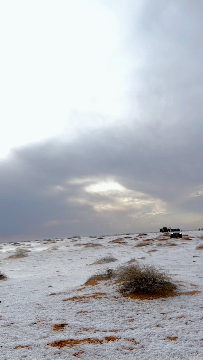 AlShamal Pinterest tweet media