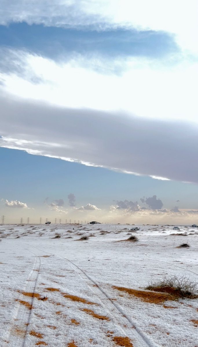 AlShamal Pinterest tweet media