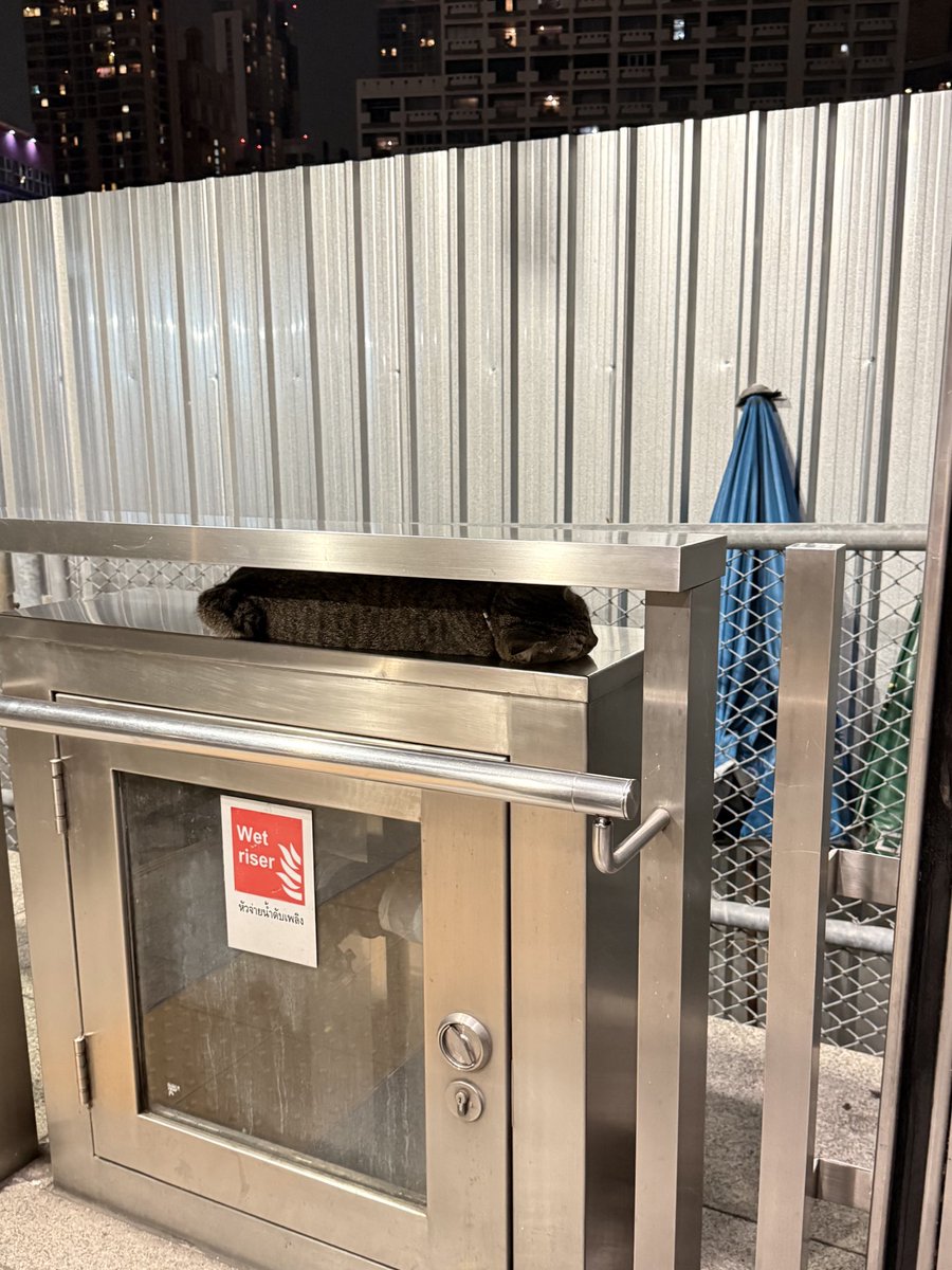 MOMO 「ANGeVIL✟」 tweet media