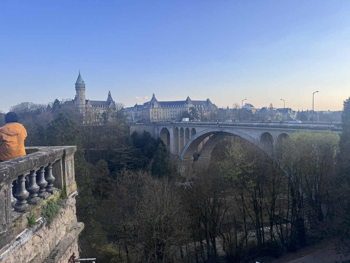 Dalton Fickle tweet media