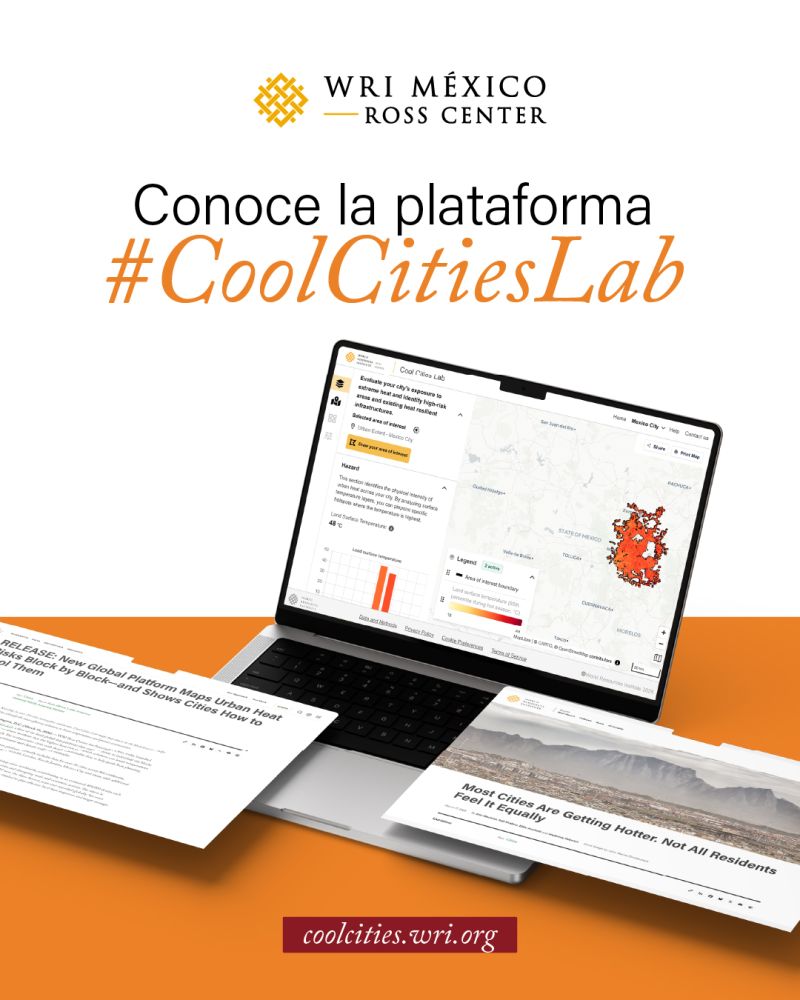 Bioconstrucción y Energía Alternativa tweet media