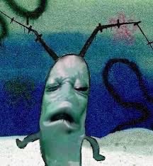 Dashelle tweet media