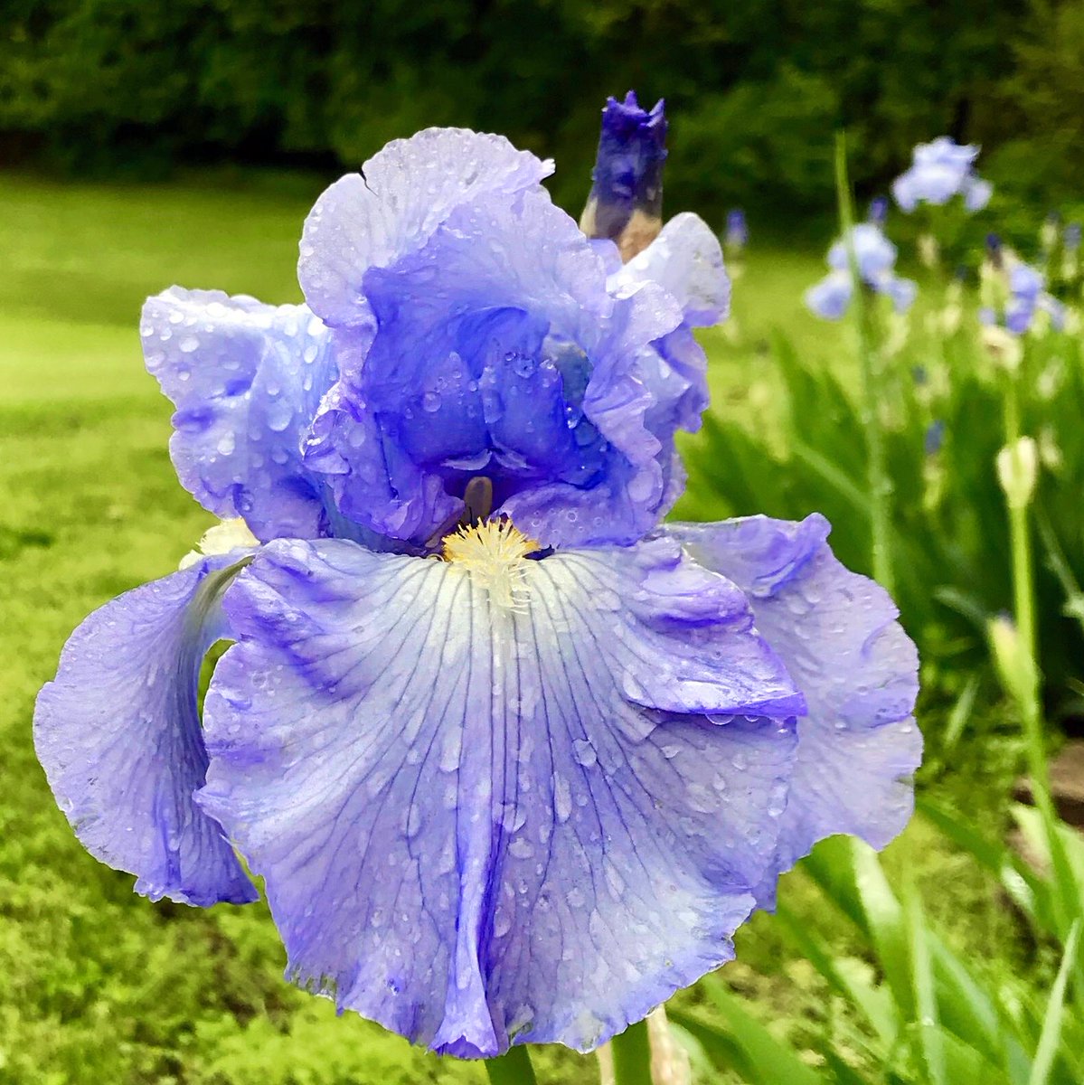 🇺🇸 Ron 2.0 ✝️ 🇺🇸 tweet media