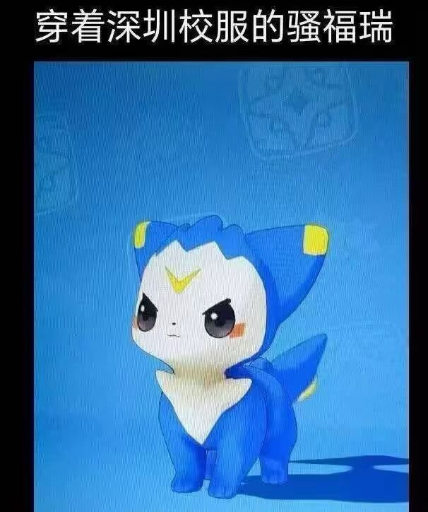 奕晴📷 tweet media