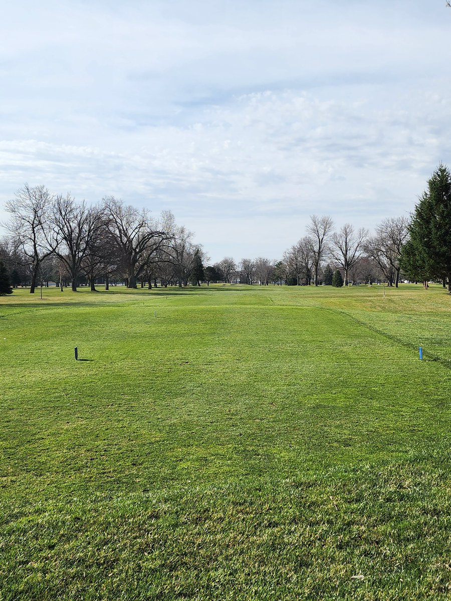 York Duke Boys Golf tweet media