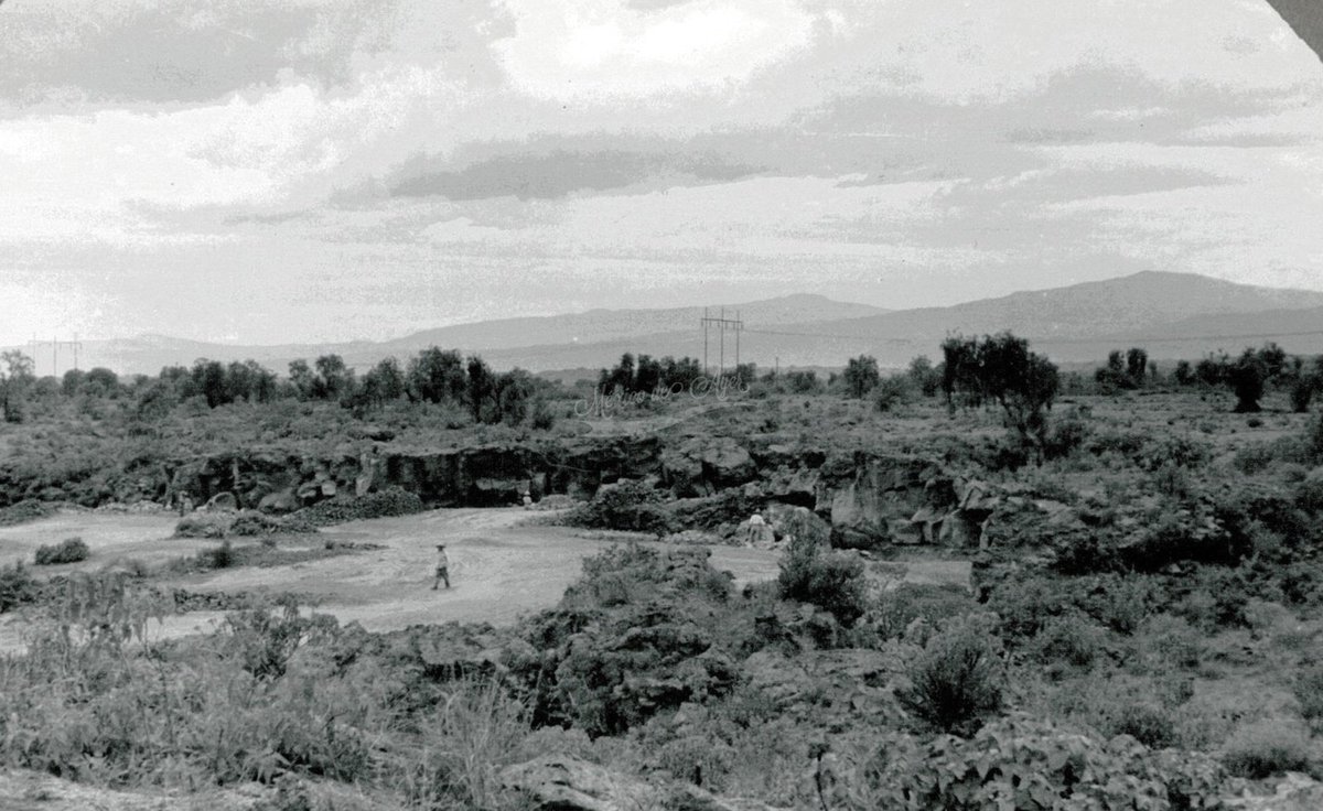 México de Ayer Oficial tweet media