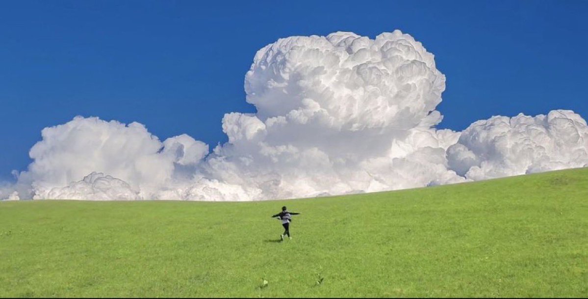 مُزدانَةْ tweet media