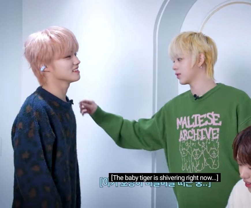 NABI🌩️☁️ tweet media