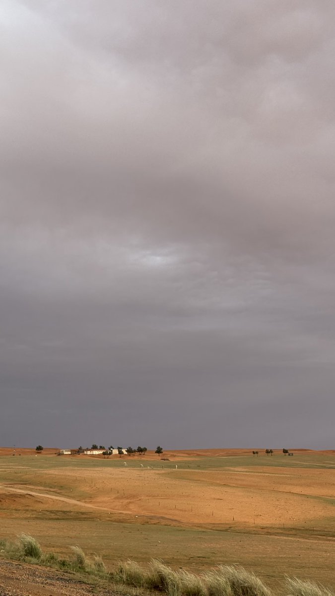 سلمان الخزيم tweet media