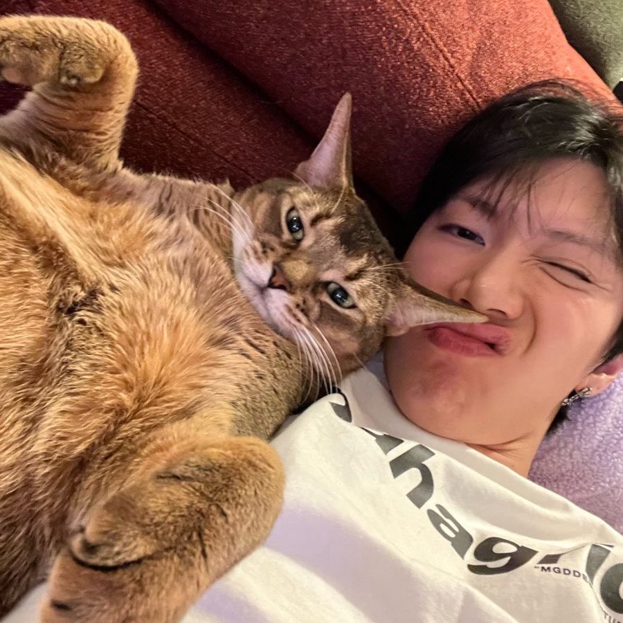 12ྀིྀི ⌯'▾'⌯ tweet media