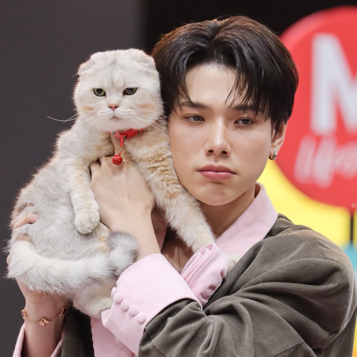 การเจอกันระหว่างปะป๊าล์ลีออน และปะป๊าไลก้า