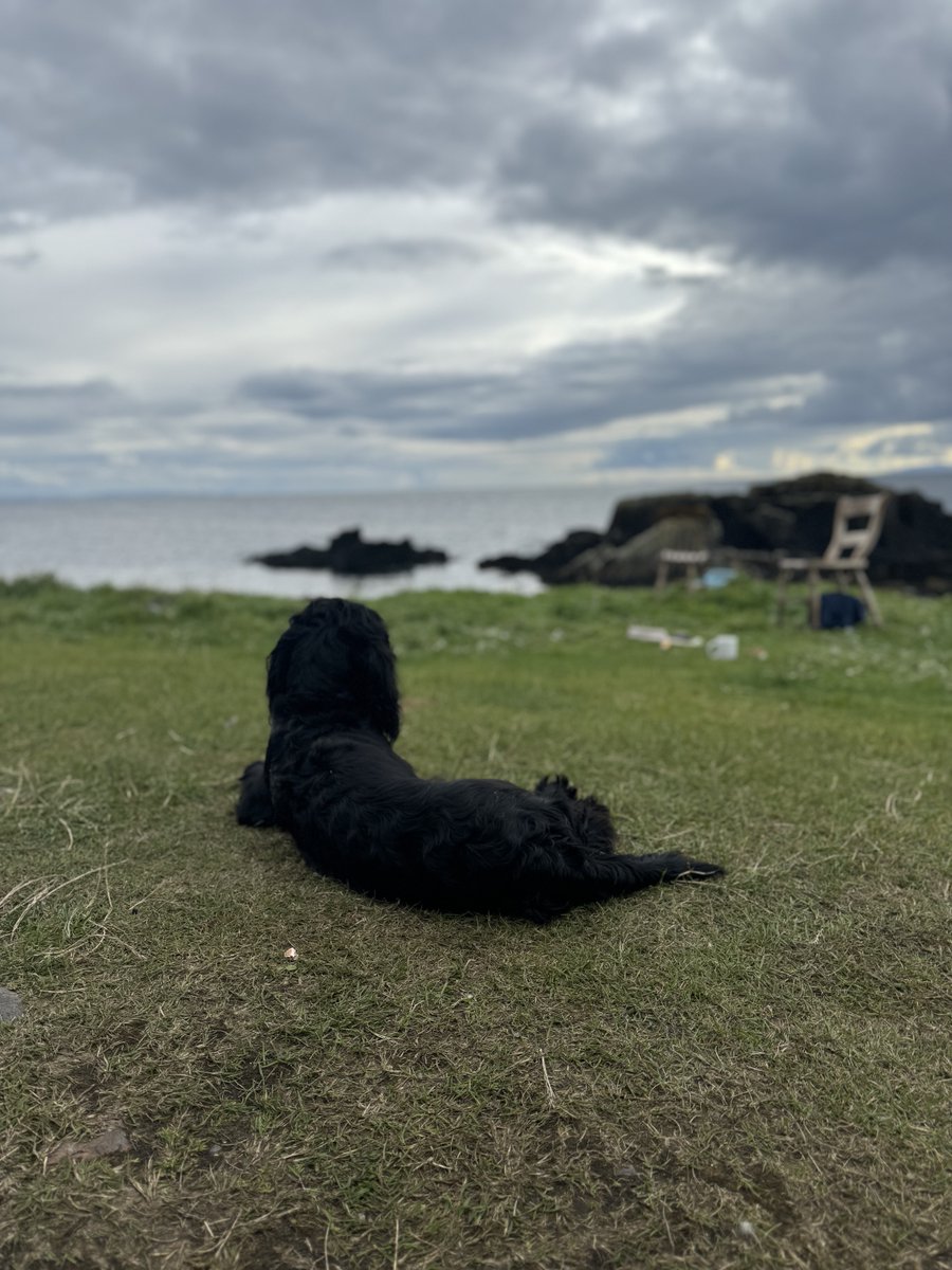 The Shiant Isles tweet media