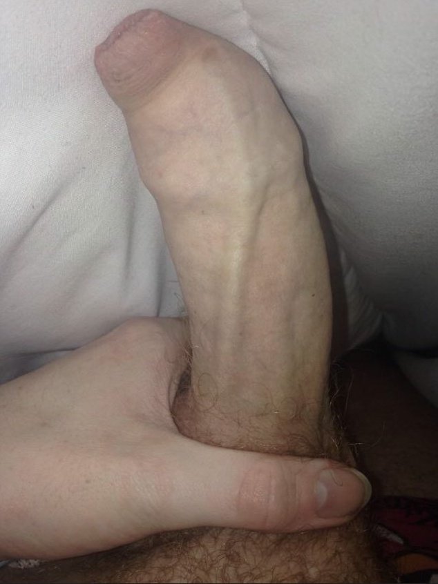 Pup Dice 🏳️‍🌈 tweet media