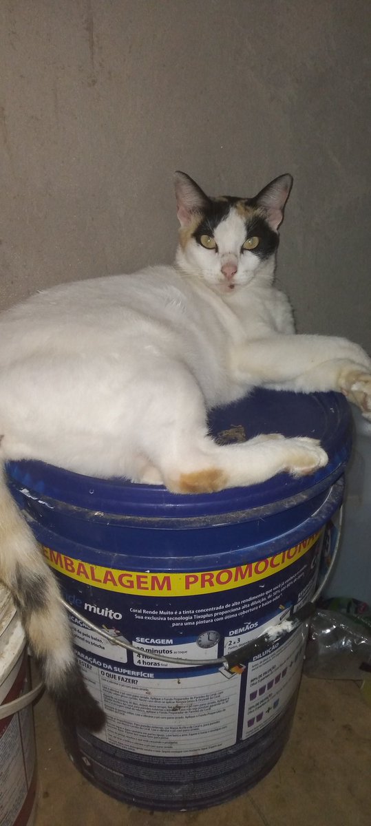 gatona era assim 😭