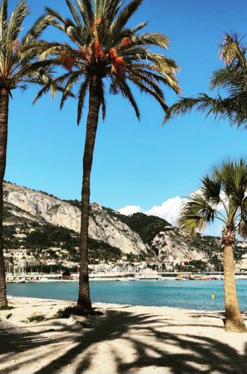 smartlifelive's tweet image. Freddo vento freddo ovunque ,meglio fuori Italy.Buon pomeriggio -sera à tutti.🕊🌺

#Buon pomeriggio
#Goodafternoon
#PeaceAndProsperity