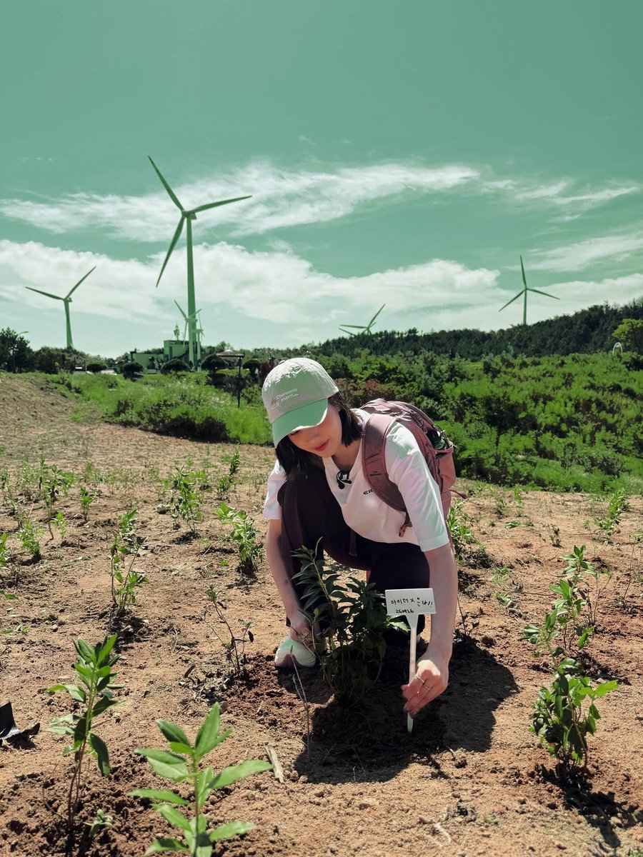 𝑺𝒆𝒍𝒆𝒏𝒆 tweet media