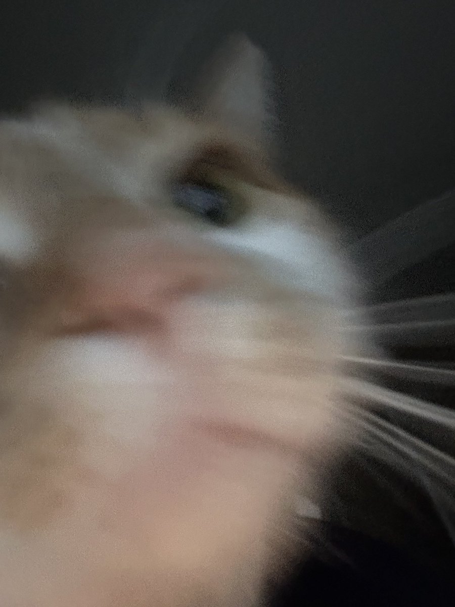 💖 James tweet media