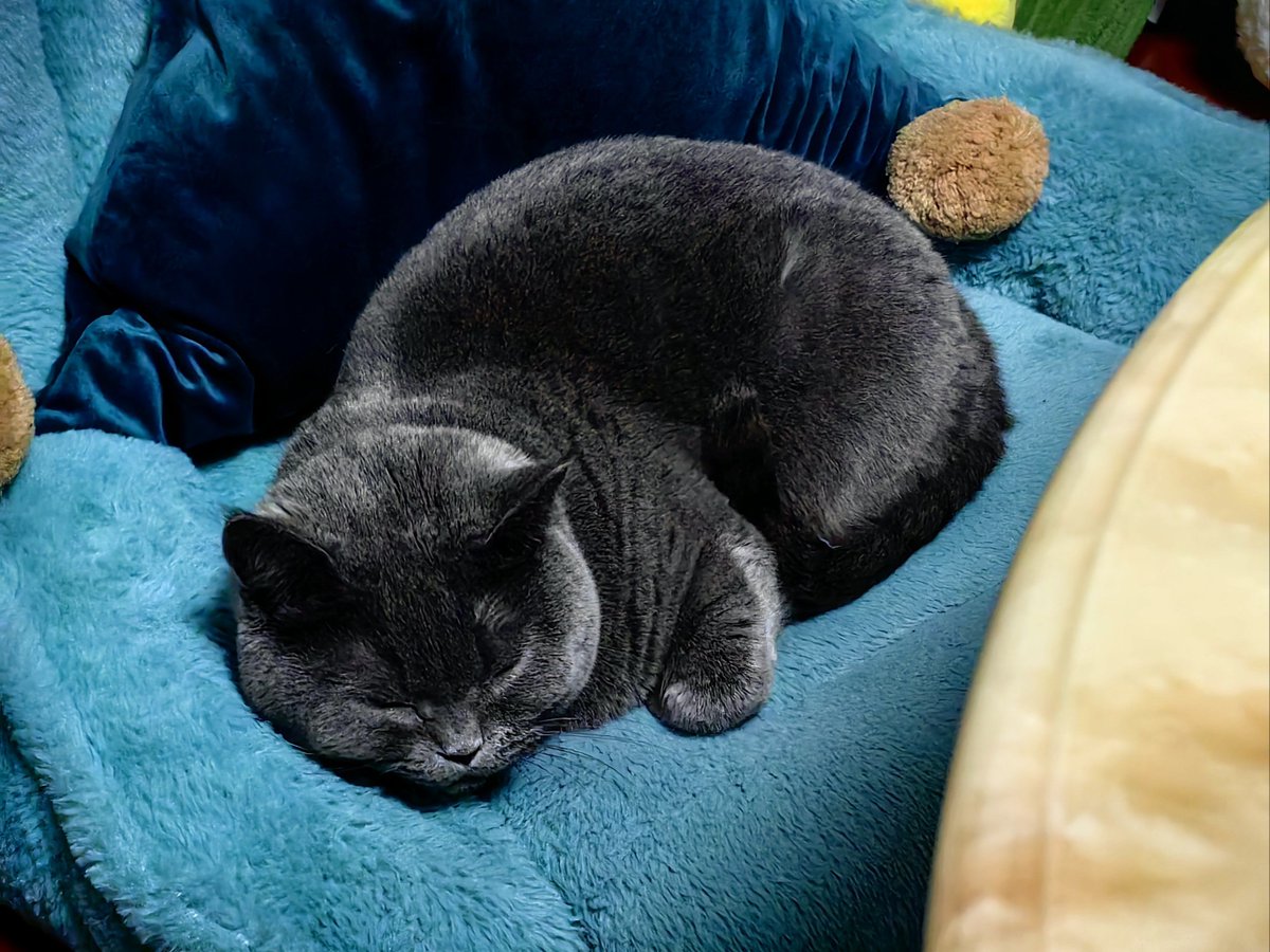 Manuel (Manny) Ruivo tweet media