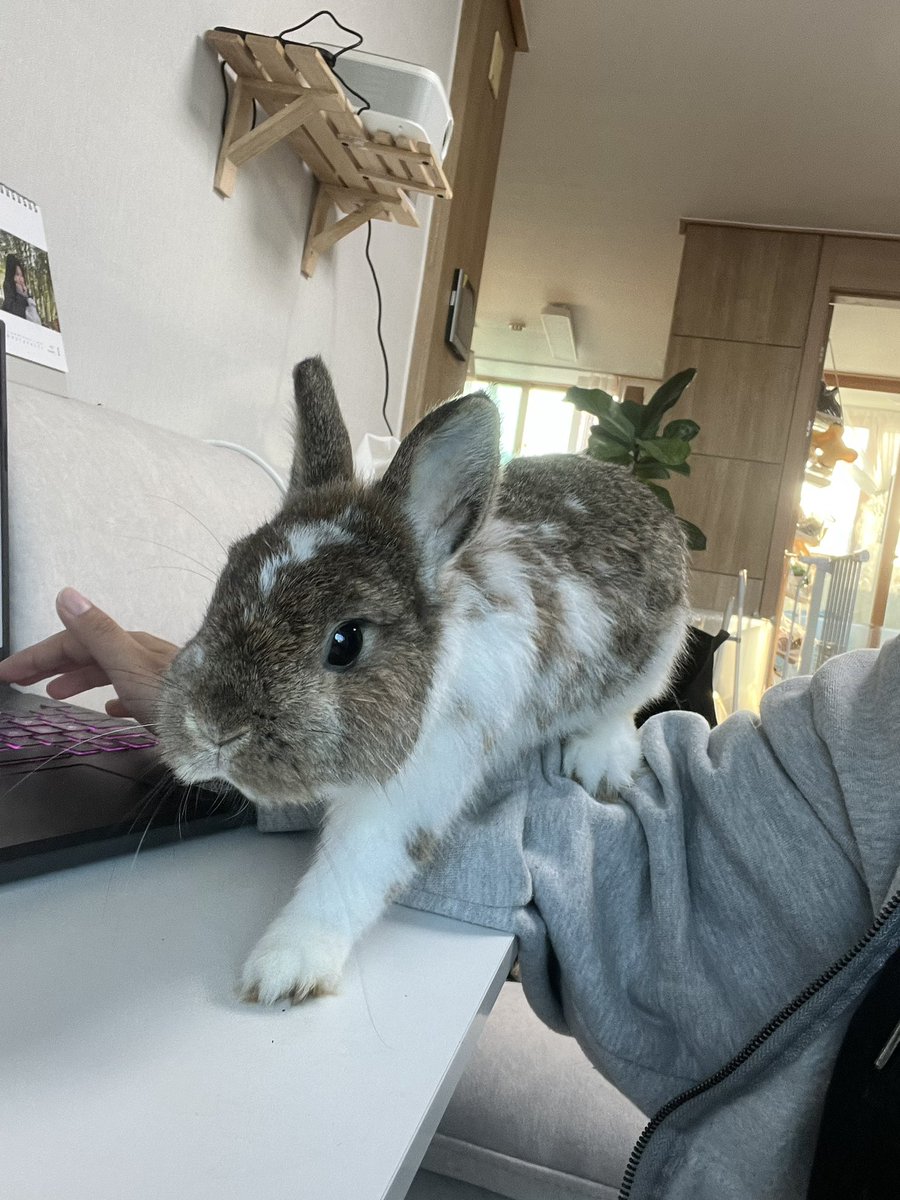 부장님 tweet media