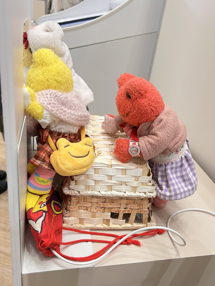 歯ぁぴょす🦷かえるのピクルスと鉄道と野球とダムの人😂15℃以上はツライわね🥹 tweet media