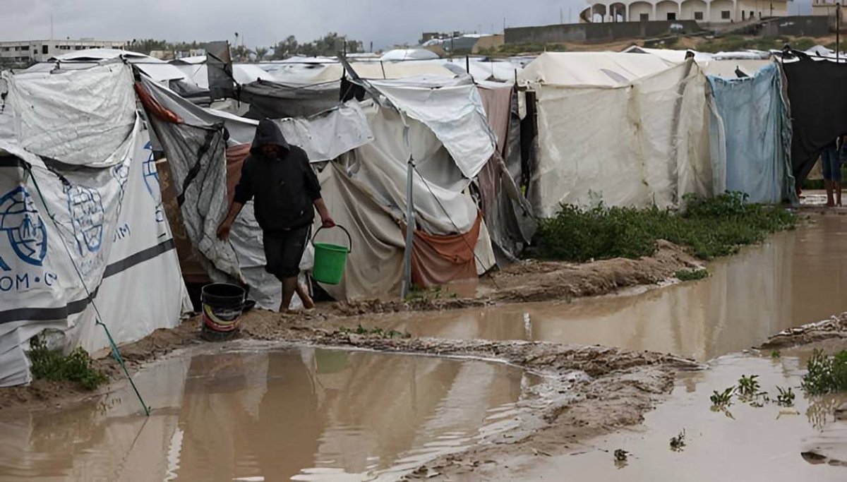 Muslim Sayad | مسلم صیاد tweet media