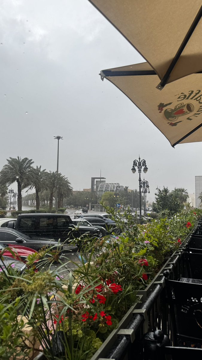 تالا #نسق_لرؤيتك tweet media