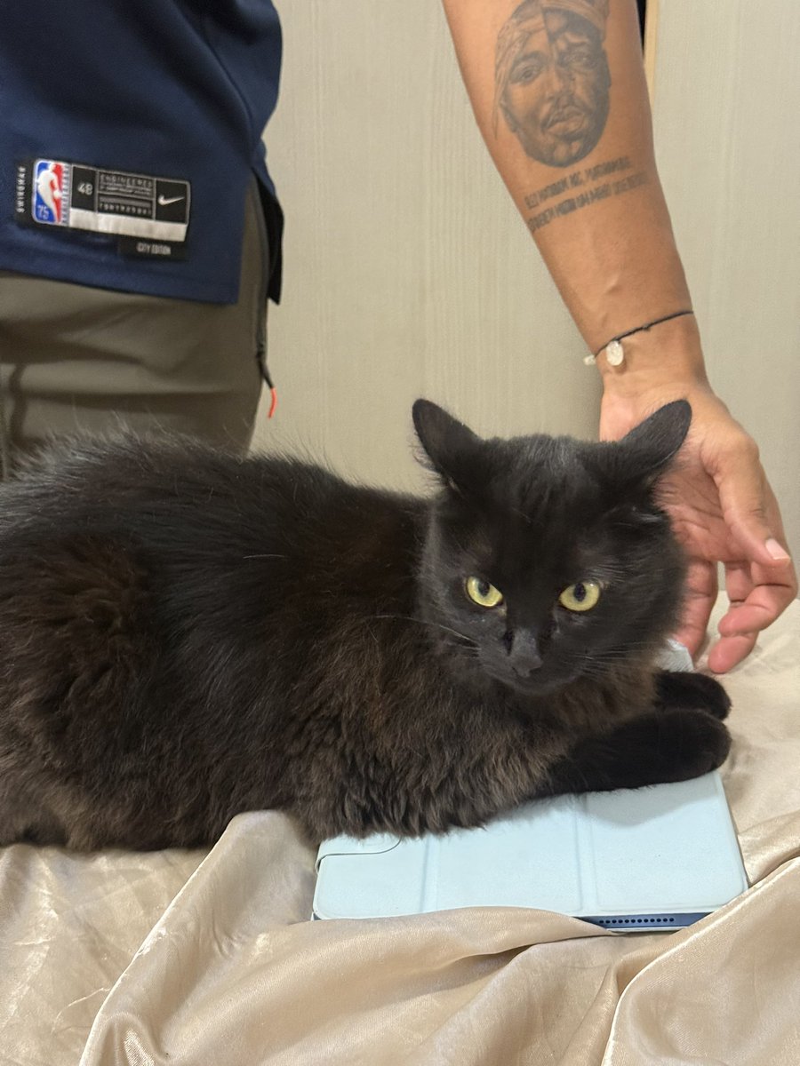 gaby ferraz tweet media