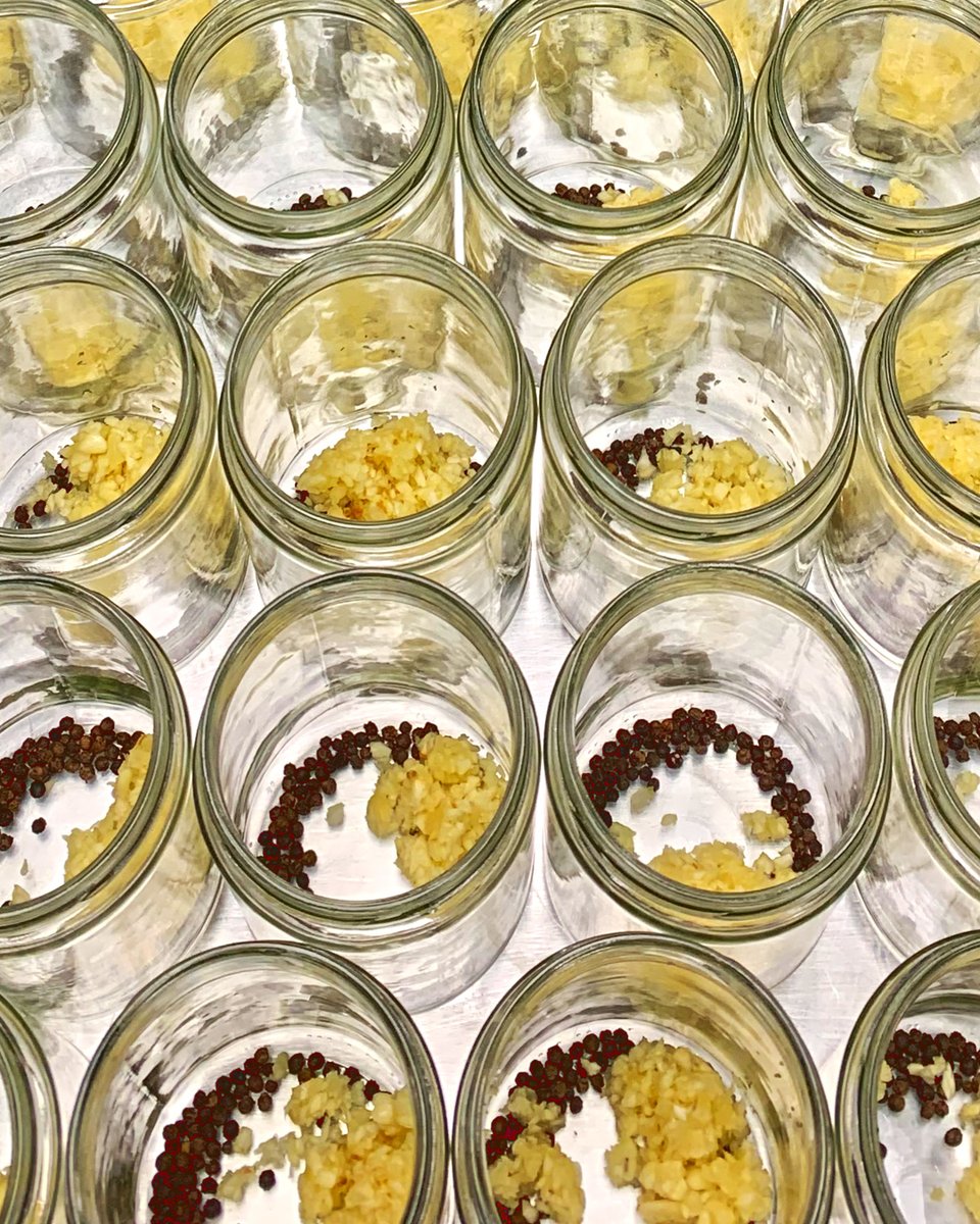 Randys Artisanal Pickles tweet media