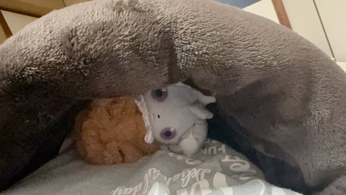 にゃすぴ tweet media