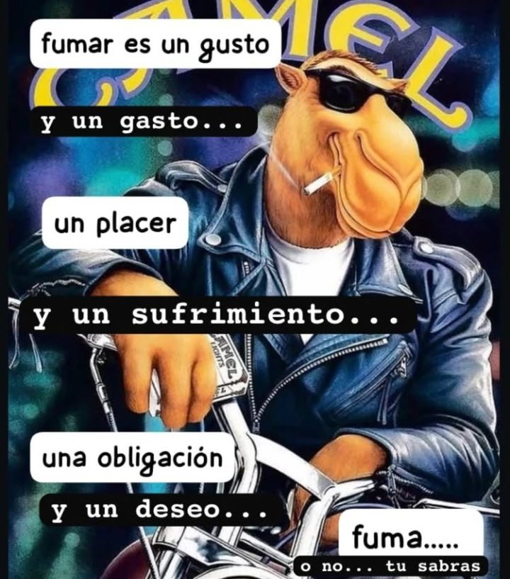 Maestre Mapaxito tweet media