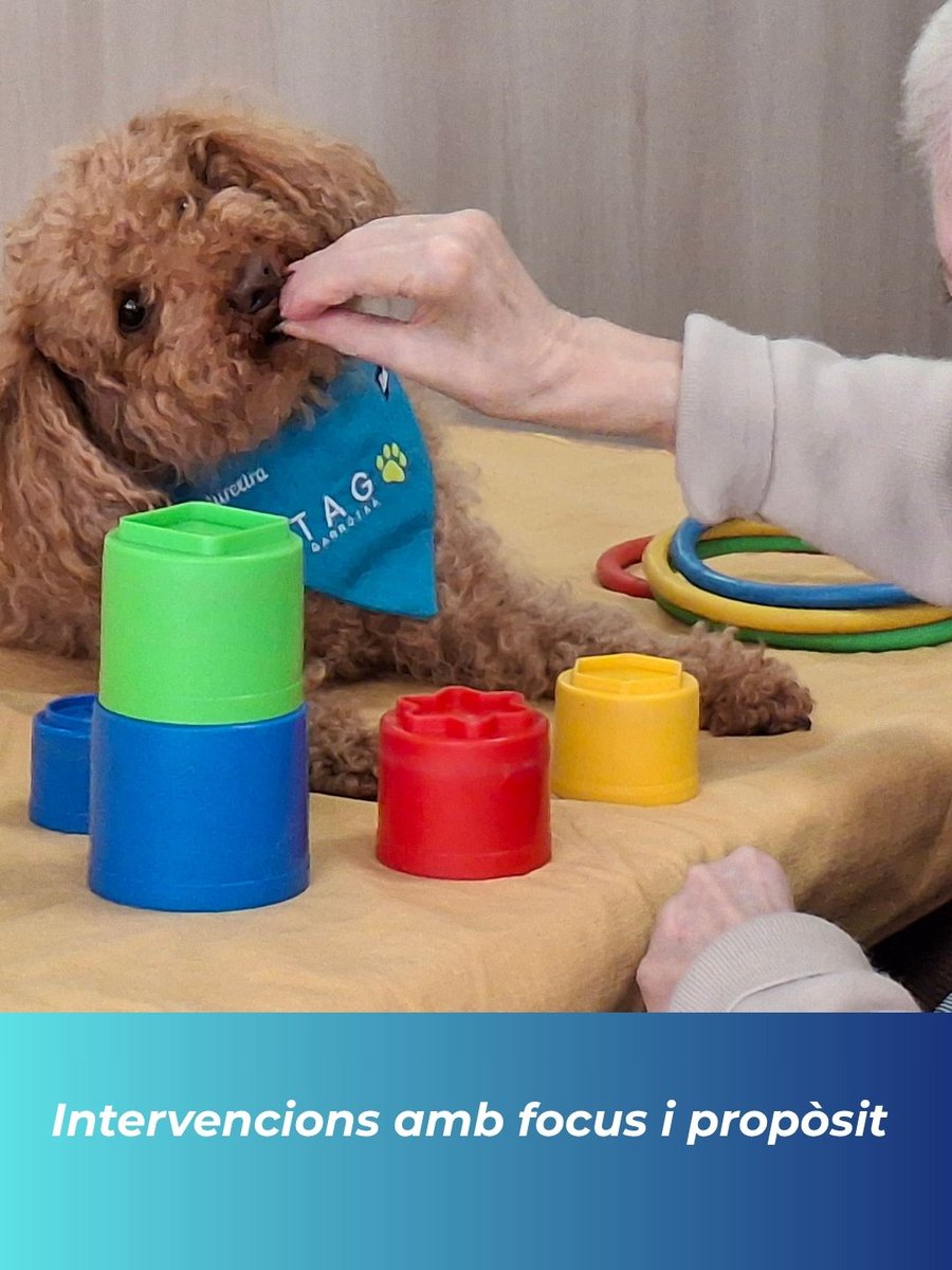 Atenció a la gent gran de l'IRSJG tweet media