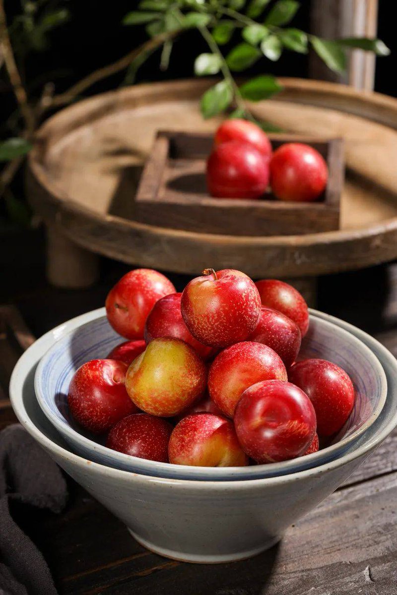 sharon cairns tweet media