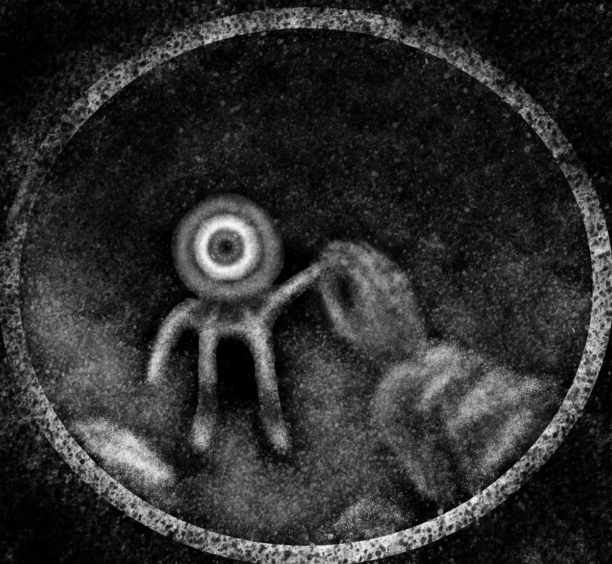 Sun Lariat tweet media