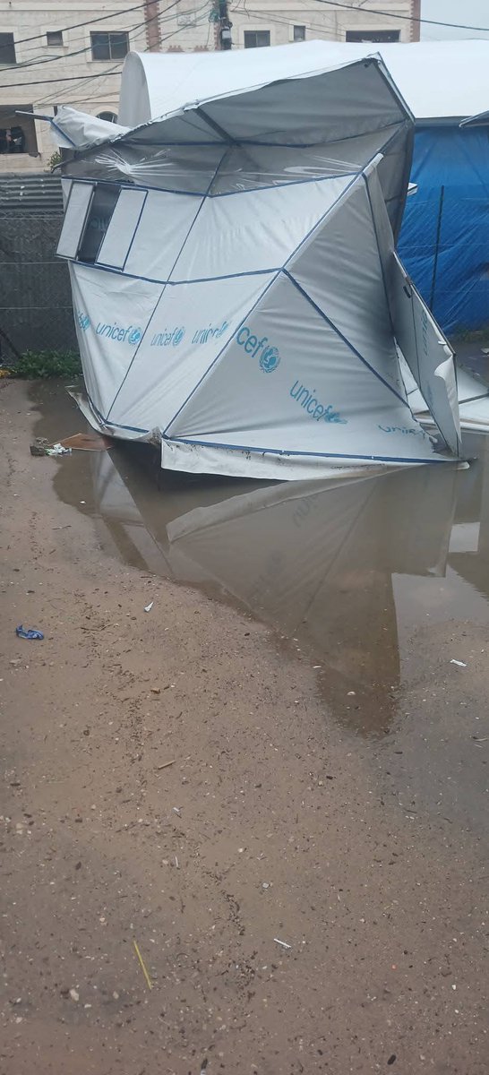 Ruba Azaizeh tweet media