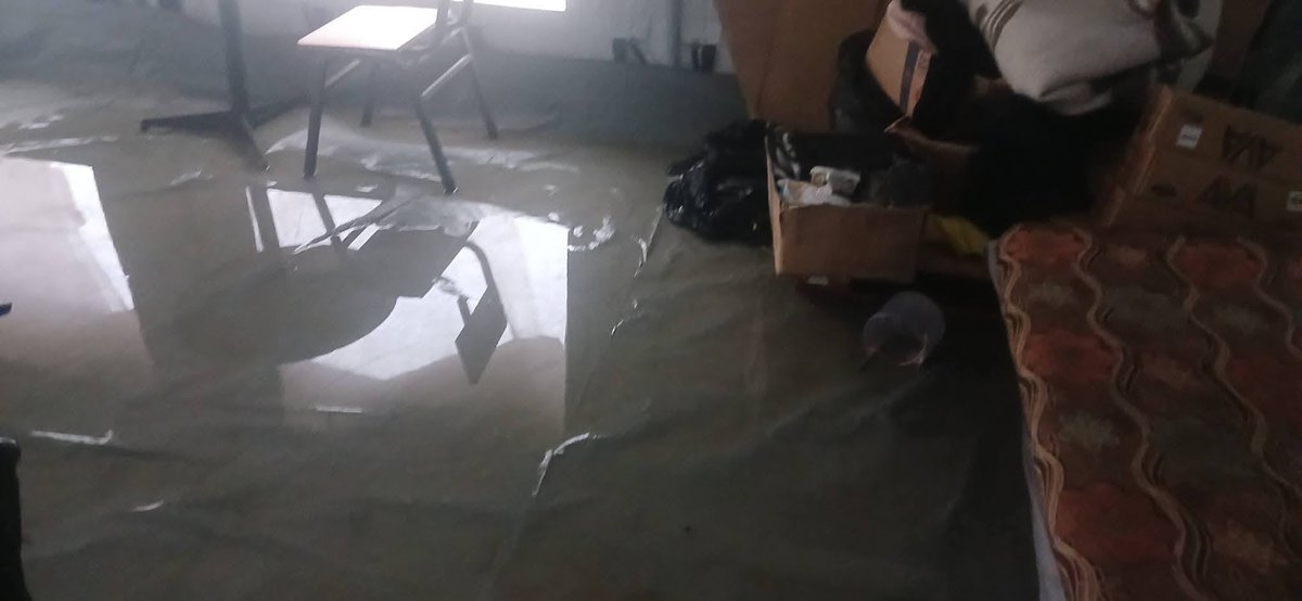 Ruba Azaizeh tweet media