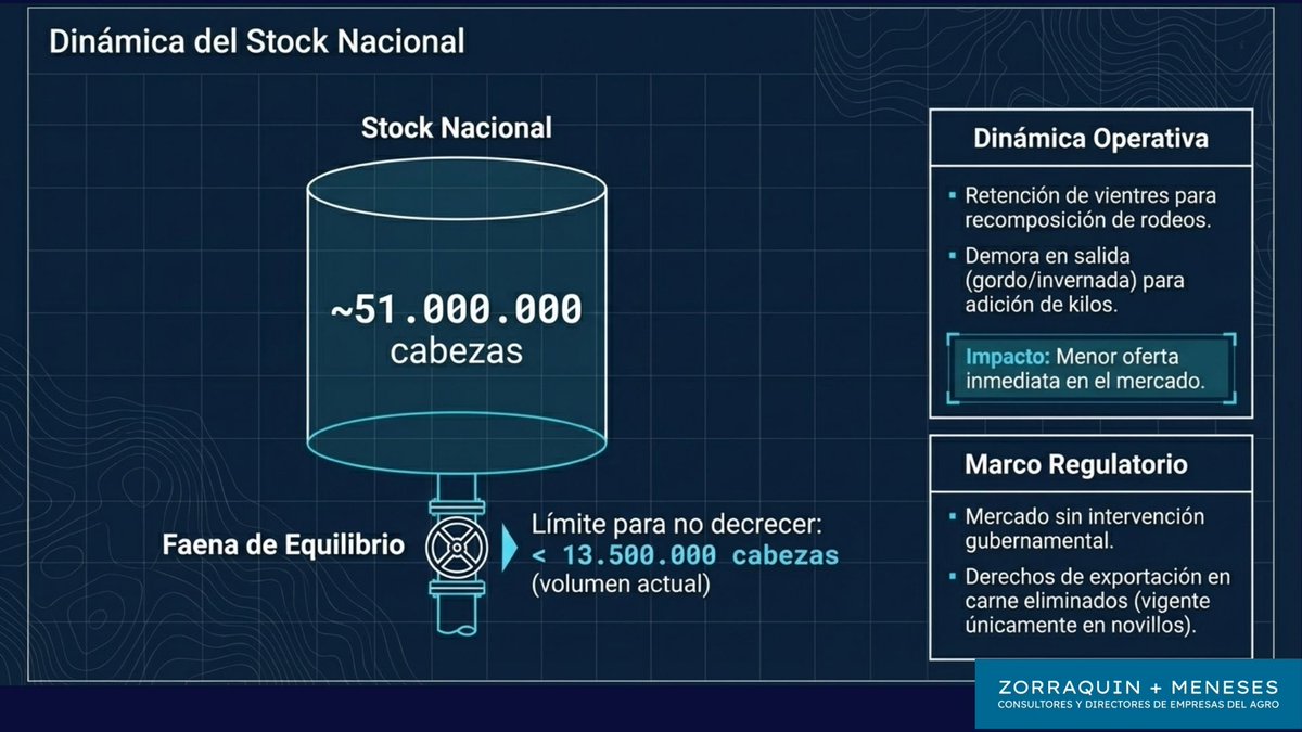 Teo Zorraquin tweet media
