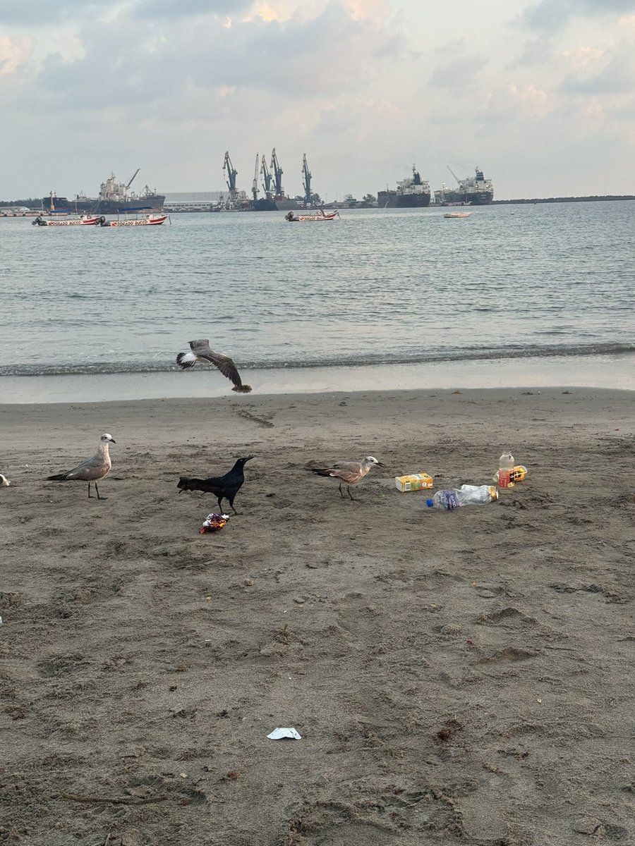 Teresa Mendoza 💜 tweet media