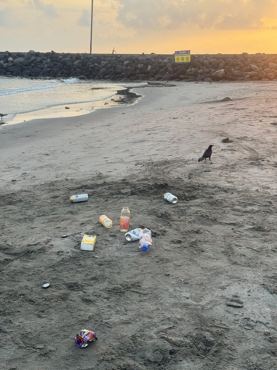 Teresa Mendoza 💜 tweet media