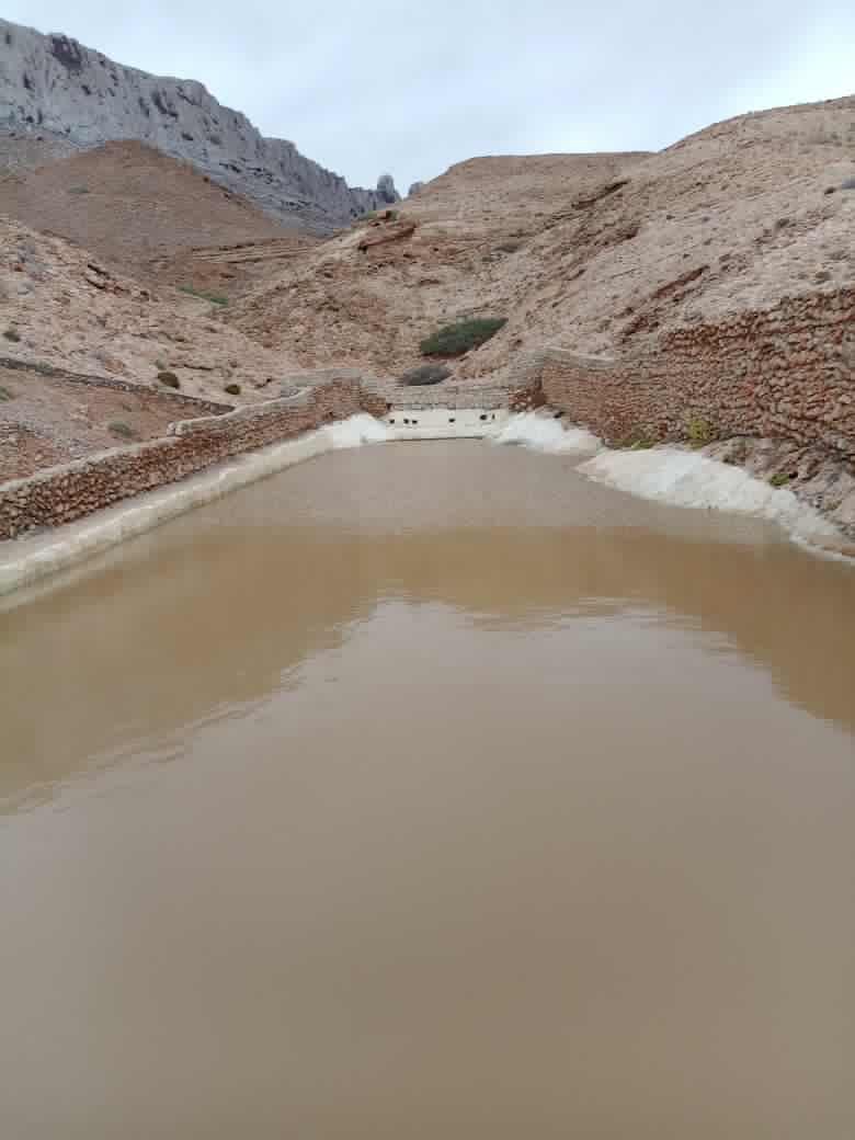 خالد المهري tweet media