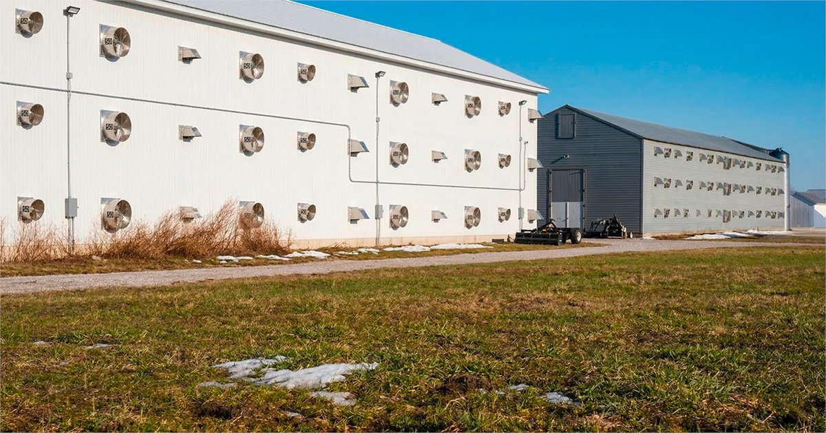 intelia.com tweet media