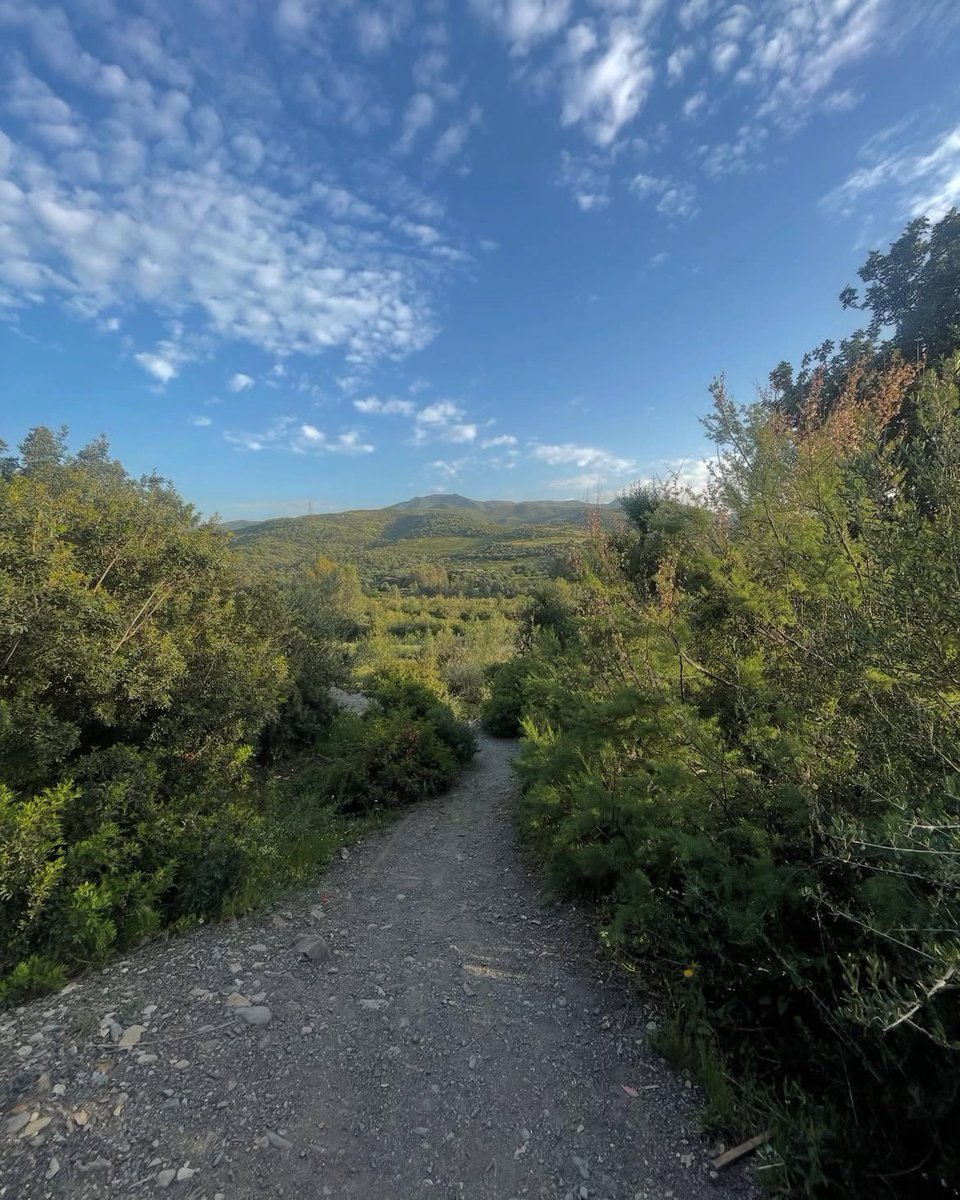 ๐ฐ๐๐๐๐๐ฉ๐ฟ tweet media