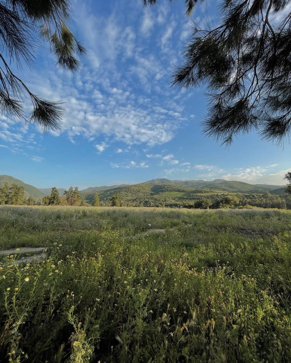 ๐ฐ๐๐๐๐๐ฉ๐ฟ tweet media