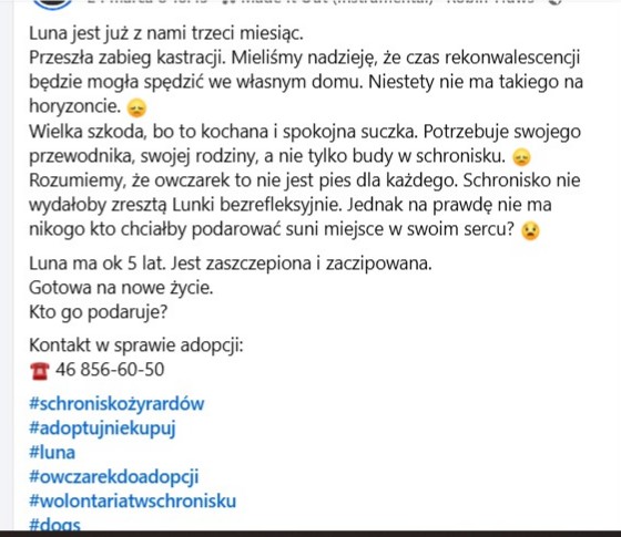 Robwalka Wolf tweet media