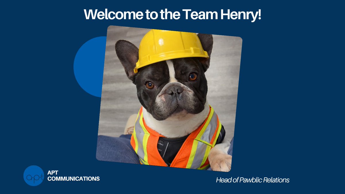 APT Communications tweet media