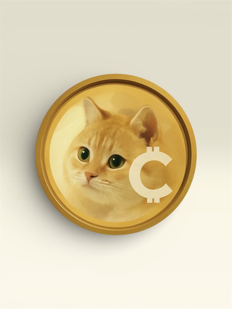 CatSpaceX tweet media