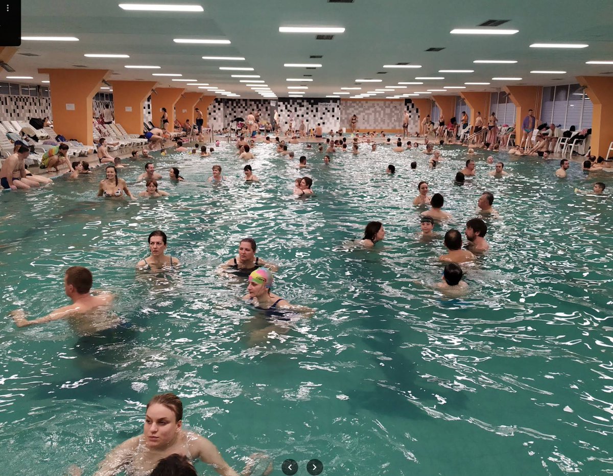 Burek sa Lisom tweet media