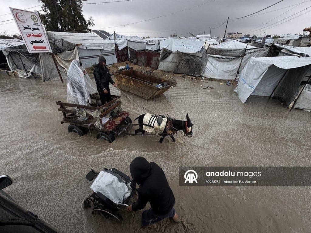 Muslim Sayad | مسلم صیاد tweet media