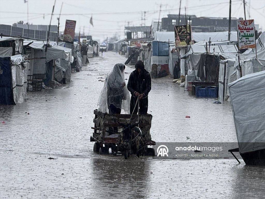 Muslim Sayad | مسلم صیاد tweet media