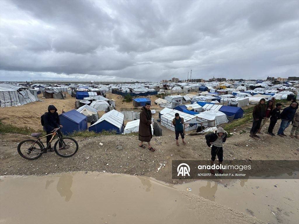 Muslim Sayad | مسلم صیاد tweet media